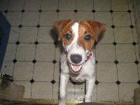 Picture for song 'Cozmo' by artist 'Festara'