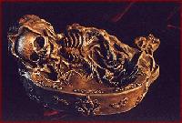 Picture for song 'UNTOUCHABLES' by artist 'Fetal Ass Niggas'