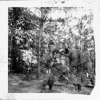 Picture for song 'D.I.' by artist 'FETE EN LOS MARES'