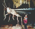 Picture for song 'Reign of Locusts (Fog mix)' by artist 'Fields ov Gravity'