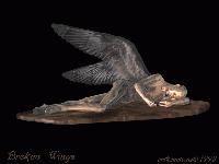 Picture for song 'Broken Wings' by artist 'fiendix'