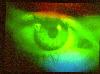 Picture for song 'Can't you see? that you cannot see?' by artist 'fiendix'