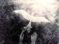 Picture for song 'Undo the new' by artist 'fiendix'
