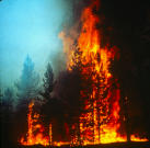 Picture for song 'Reiterate' by artist 'Fifth Chakra'