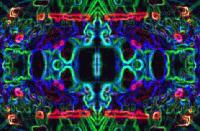 Picture for song 'May Day' by artist 'Figure Formation'