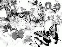 Picture for song 'Mirror Image' by artist 'First Class Fetish'