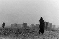 Picture for song 'How i feel' by artist 'Fitzroy'