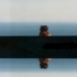 Picture for song 'Classical sample 8' by artist 'FJGI'