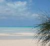 Picture for song 'Beach Tune' by artist 'Flagstaff'