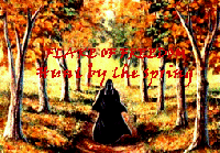 Picture for song 'Hunt by the spring' by artist 'Flake of Freedom'