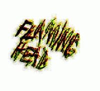 Picture for song 'Good Cry song' by artist 'Flaming Head'