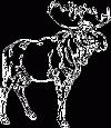 Picture for song 'Introduction to the abnorm' by artist 'Flangemoose'