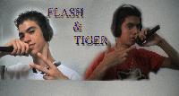 Picture for song 'flash&tiger on the mic' by artist 'flash and tiger'