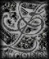 Picture for song 'Ready 4 War' by artist 'Flatline RecordsKY'
