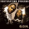 Picture for song 'ELEVATE - A.O.N.' by artist 'Flavor Radio Network'