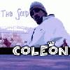 Picture for song 'RA RA - Coleon' by artist 'Flavor Radio Network'