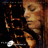 Picture for song 'Futures Past' by artist 'Flesh-Resonance'