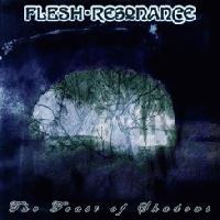 Picture for song 'In The Wake Of Eternity' by artist 'Flesh-Resonance'