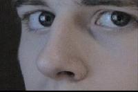 Picture for song 'Brace For Impact' by artist 'Flight to Fargo'