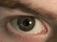 Picture for song 'Quick, Cover His Mouth' by artist 'Flight to Fargo'