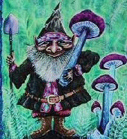 Picture for song 'Band Of Gnomes' by artist 'FL Lo0ps'