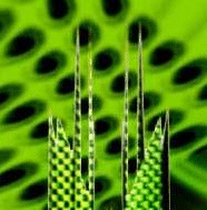 Picture for song 'We Have a Problem (InterLude)' by artist 'FL Lo0ps'