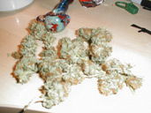 Picture for song 'New2 "taken from upcoming mixtape"' by artist 'F L O'