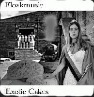 Picture for song 'Lashes' by artist 'FloakMusic'