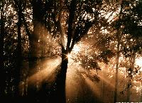 Picture for song 'simple' by artist 'Floetry'