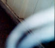Picture for song 'Charlie Don't Surf' by artist 'FLOPhOUSE'