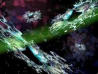 Picture for song 'Operation D.O.O.M.' by artist 'FLOPhOUSE'