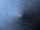 Picture for song 'Time for' by artist 'FLOPhOUSE'