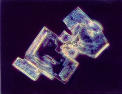 Picture for song 'Total War' by artist 'FLOPhOUSE'