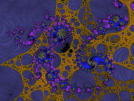 Picture for song 'Warpin' Colours' by artist 'FLOPhOUSE'