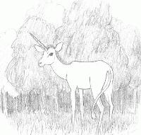 Picture for song 'Do You Care?' by artist 'Florida Evans'