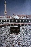 Picture for song 'Medicated Mecca ft/ Covert Mesa & Final' by artist 'Flow Unit StandStill'