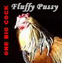 Picture for song 'Your Girlfriend's Pants (Greenday parody)' by artist 'Fluffy Pussy'