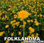 Picture for song 'Our Miserable Lives' by artist 'Folklahoma'