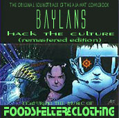 Picture for song 'HACK THE CULTURE' by artist 'foodshelterandclothing'