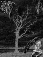 Picture for song 'The Morrigan' by artist 'Forest of Castles'