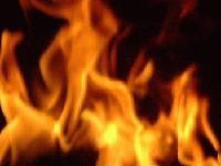 Picture for song 'William Collins' by artist 'Foreveraftermath'