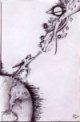 Picture for song 'Sometimes I Tremble' by artist 'ForeverGrasping'