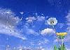 Picture for song 'blown' by artist 'Formosus Terrae'