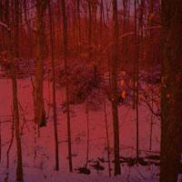 Picture for song 'away' by artist 'fornever'