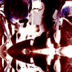 Picture for song 'to the edge of the world' by artist 'fornever'