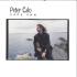 Picture for song 'PETER CALO - Cape Ann' by artist 'Four Winds Entertainment'
