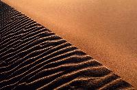 Picture for song 'Indian Summer' by artist 'FPT Express'