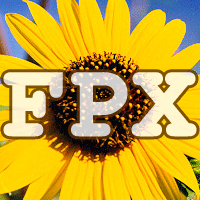 Picture for song 'Spegel' by artist 'FPX'