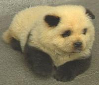 Picture for song 'Some Real f***in' Sick Shit' by artist 'Fractical Rotations In Technology'