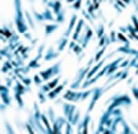 Picture for song 'Digledigio' by artist 'Fraganegra'